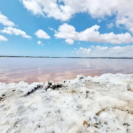 Holiday home Charming With Private Pool In Urb La Siesta Torrevieja La Mata (Torrevieja)