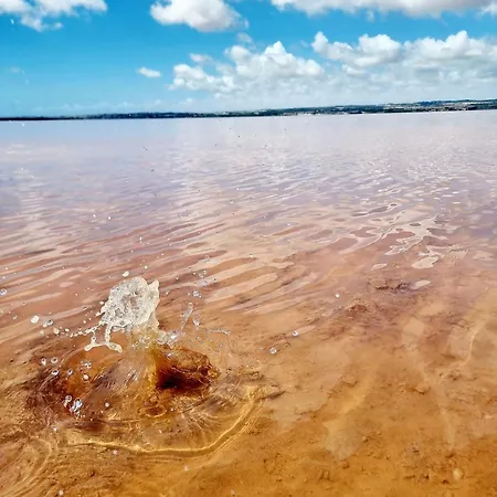 Charming With Private Pool In Urb La Siesta Torrevieja La Mata (Torrevieja)